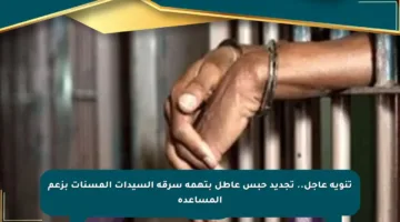 تنويه عاجل.. تجديد حبس عاطل بتهمة سرقة السيدات المسنات بزعم المساعدة